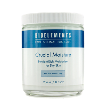 Crucial Moisture (Salon Size For Dry Skin) Bioelements Image
